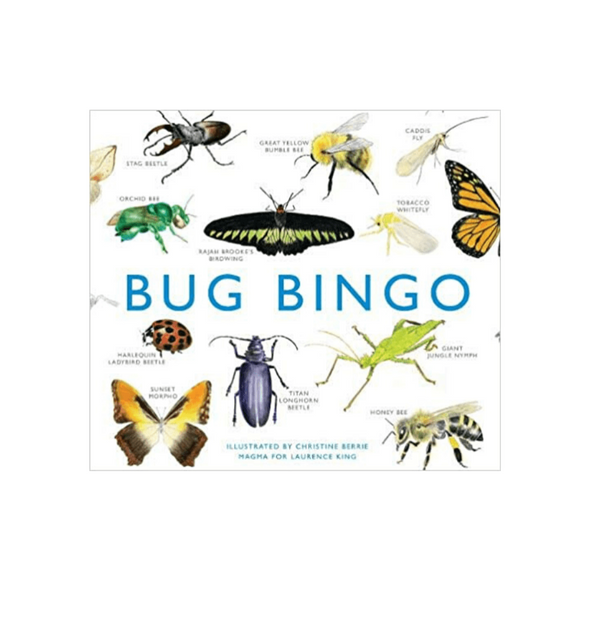 Image of Bug Bingo Board game