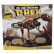 Image of the Dig and Discover- T-Rex