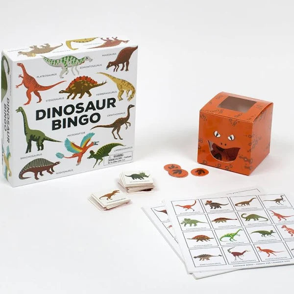 Image of what is included in dinosaur bingo 