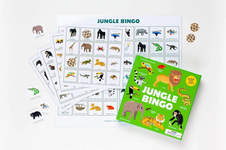 Image of what is included in the Jungle bingo game