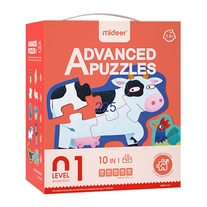 Image of the box of the 10-in-1 puzzle 